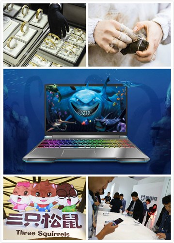 Pictured from the top right are jewelry retailer Chow Tai Fook Enterprises, rice dumpling brand Wufangzhai, PC maker Mechrevo, snack supplier Three Squirrels and smartphone company Xiaomi's Mijia, a newly launched subbrand for its family of products. (Photo/chinadaily.com.cn)