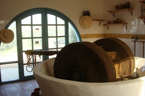 A traditional olive oil mill near Tunis. (Photo: GT/Hu Weijia) A traditional olive oil mill near Tunis. (Photo: GT/Hu Weijia)