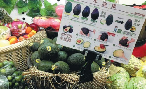 Everything you needed to know about avocados in a Chinese supermarket. (Photo/China Daily) Everything you needed to know about avocados in a Chinese supermarket. (Photo/China Daily)