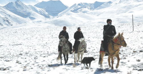 Bank clerks on their way to Ngari prefecture in the Tibet autonomous region to visit clients on horseback. They travel to agree loans or collect repayments no matter what the weather is like. The region is 4,500 meters above sea level. (Photo/China Daily) Bank clerks on their way to Ngari prefecture in the Tibet autonomous region to visit clients on horseback. They travel to agree loans or collect repayments no matter what the weather is like. The region is 4,500 meters above sea level. (Photo/China Daily)
