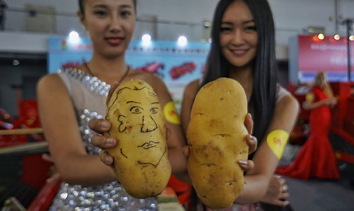 A king size pancake made of potatoes is ready to be served on a plate, while models show off giant painted potatoes at the Beijing World Potato Congress last month. (Zhang Wei/China Daily) A king size pancake made of potatoes is ready to be served on a plate, while models show off giant painted potatoes at the Beijing World Potato Congress last month. (Zhang Wei/China Daily)