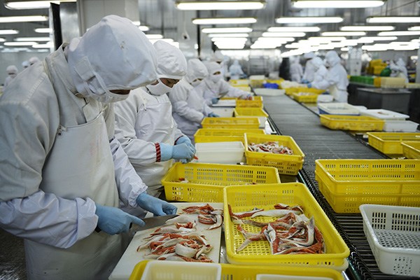 Workers process aquatic products at Rizhao Nichiro & Rongsense Foods Co Ltd in Shangdong province. These products were exported to Japan. (Photo provided to China Daily) Workers process aquatic products at Rizhao Nichiro & Rongsense Foods Co Ltd in Shangdong province. These products were exported to Japan. (Photo provided to China Daily)