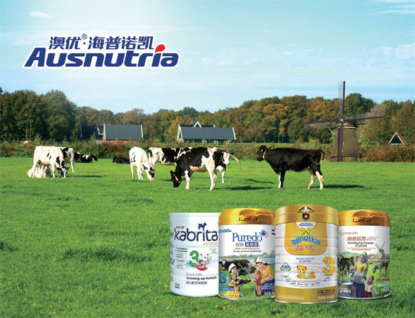 Cows graze in one of Ausnutria's fields in the Netherlands. (Photo provided to China Daily)