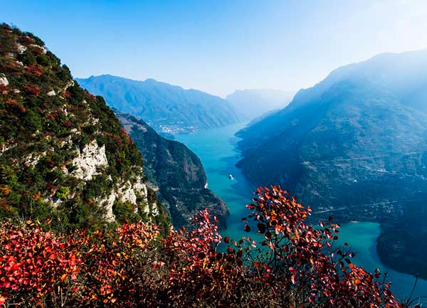 A vessel sails on the Yangtze River in the Three Gorges area in Zigui county, Central China's Hubei province, Nov 29, 2015, with red leaves seen on the riverside.(Photo/Xinhua) A vessel sails on the Yangtze River in the Three Gorges area in Zigui county, Central China's Hubei province, Nov 29, 2015, with red leaves seen on the riverside.(Photo/Xinhua)