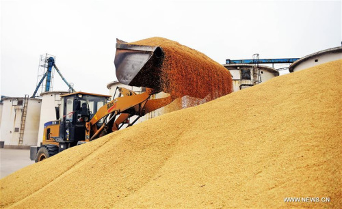 A worker collects rice at a corn processing factory in Linghai, northeast China's Liaoning Province, Nov. 19, 2015. China's economy grew by 6.9 percent in 2015. (Xinhua file photo/Yang Qing) A worker collects rice at a corn processing factory in Linghai, northeast China's Liaoning Province, Nov. 19, 2015. China's economy grew by 6.9 percent in 2015. (Xinhua file photo/Yang Qing)