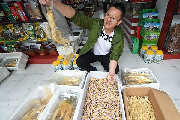 Businessman Sun Hui shows ginseng products at his shop in Ji'an, Jilin province, a major area for ginseng growth, where the annual production of fresh ginseng has reached 4,000 metric tons. (Photo/Xinhua) Businessman Sun Hui shows ginseng products at his shop in Ji'an, Jilin province, a major area for ginseng growth, where the annual production of fresh ginseng has reached 4,000 metric tons. (Photo/Xinhua)