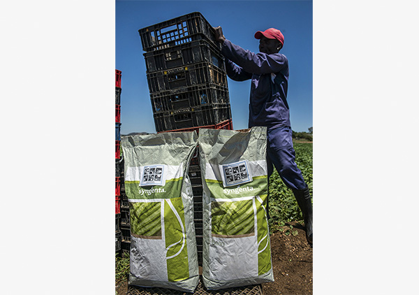 A farmer stacks collection baskets near sacks of Syngenta beans at a farm near Johannesburg. (Photo provided to China Daily) A farmer stacks collection baskets near sacks of Syngenta beans at a farm near Johannesburg. (Photo provided to China Daily)