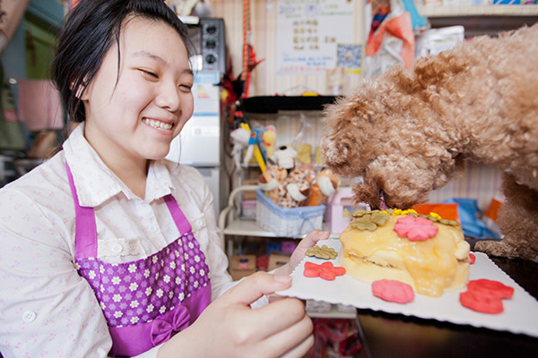 A baker holds a pet birthday cake made for her customer's dog in Changchun, Jilin province. It takes the baker about three hours to make the cake, priced around 100 yuan ($15). (Photo/China Daily) A baker holds a pet birthday cake made for her customer's dog in Changchun, Jilin province. It takes the baker about three hours to make the cake, priced around 100 yuan ($15). (Photo/China Daily)