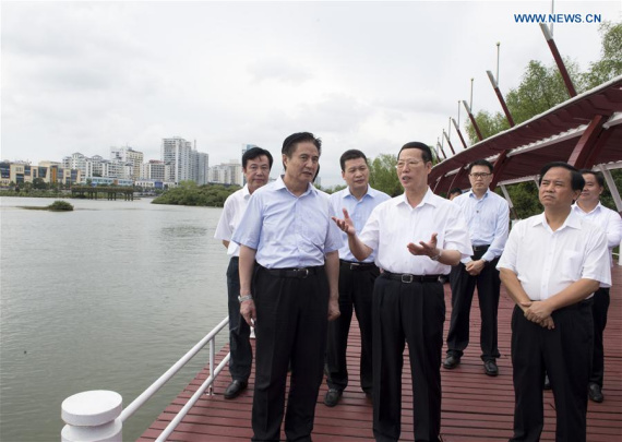 Chinese Vice Premier Zhang Gaoli (C front) inspects the eco-restoration and environmental protection work in Sanya, south China's Hainan Province, May 24, 2016. Zhang made an inspection tour in Jiangxi and Hainan from May 23 to 25. (Photo: Xinhua/Wang Ye) Chinese Vice Premier Zhang Gaoli (C front) inspects the eco-restoration and environmental protection work in Sanya, south China's Hainan Province, May 24, 2016. Zhang made an inspection tour in Jiangxi and Hainan from May 23 to 25. (Photo: Xinhua/Wang Ye)