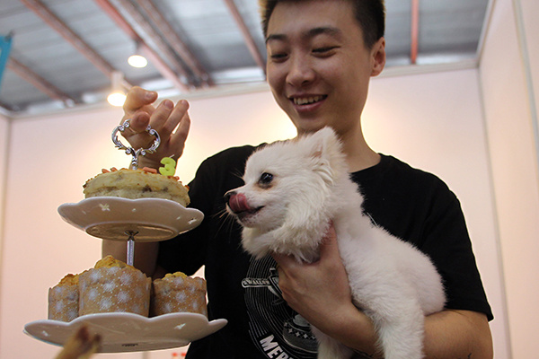 A dog looks at a birthday cake at an expo in Beijing. (Photo/China Daily) A dog looks at a birthday cake at an expo in Beijing. (Photo/China Daily)