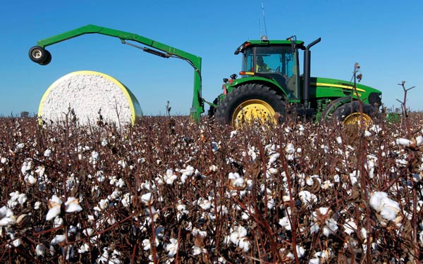 A cotton plantation of Chinatex Corp in Australia. (Photo/Xinhua) A cotton plantation of Chinatex Corp in Australia. (Photo/Xinhua)