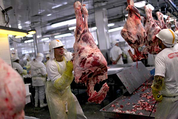 Workers process meat on a production line at the Minerva SA meat processing plant in Barretos, Brazil. (Provided to China Daily) Workers process meat on a production line at the Minerva SA meat processing plant in Barretos, Brazil. (Provided to China Daily)