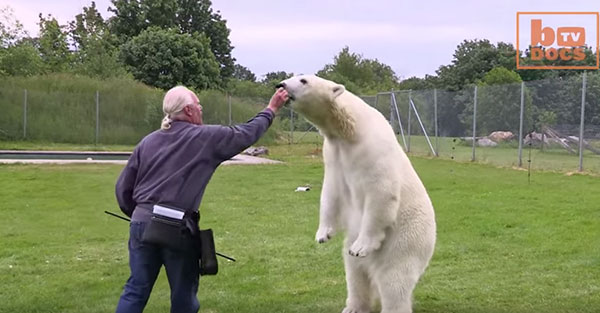 A screenshot from Barcroft's Youtube Channel. A screenshot from Barcroft's Youtube Channel.