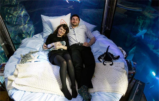 Two winners of a competition on the Airbnb accommodation site pose in a bed in an underwater room installed in the Aquarium of Paris, on April 11. Zhubaijia is the company's counterpart in China.(Provided to China Daily) Two winners of a competition on the Airbnb accommodation site pose in a bed in an underwater room installed in the Aquarium of Paris, on April 11. Zhubaijia is the company's counterpart in China.(Provided to China Daily)