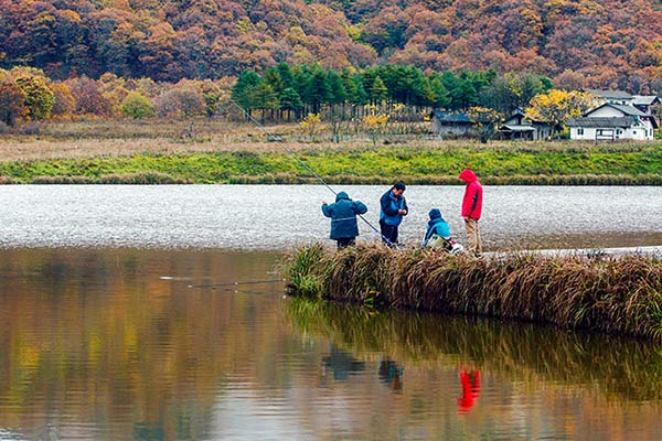 Autumn scenery of Shennongjia, Hubei provinve, October 23, 2016. Located in the Northwest of Hubei province, the Shennongjia forestry district was established in 1970. As the only well-preserved sub-tropical forest ecosystem in the world's mid-latitudes, Shennongjia boasts rich natural forest resources with more than 5,000 species of animals and plants. (Photo/Asianewsphoto) Autumn scenery of Shennongjia, Hubei provinve, October 23, 2016. Located in the Northwest of Hubei province, the Shennongjia forestry district was established in 1970. As the only well-preserved sub-tropical forest ecosystem in the world's mid-latitudes, Shennongjia boasts rich natural forest resources with more than 5,000 species of animals and plants. (Photo/Asianewsphoto)