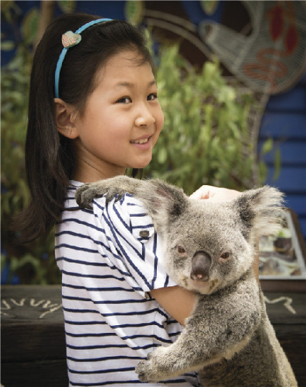 Australia has been gaining popularity among Chinese visitors, who have surpassed New Zealanders to become the top spenders. (Photo provided to China Daily) Australia has been gaining popularity among Chinese visitors, who have surpassed New Zealanders to become the top spenders. (Photo provided to China Daily)