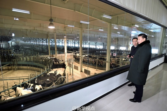 Chinese President Xi Jinping (R) inspects a dairy products manufacturer in Zhangjiakou, Hebei Province in north China on January 24, 2017. (Xinhua Photo) Chinese President Xi Jinping (R) inspects a dairy products manufacturer in Zhangjiakou, Hebei Province in north China on January 24, 2017. (Xinhua Photo)