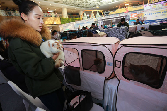 A woman holds her pet while choosing goods at a show in Zhengzhou, Henan province. (Photo/China Daily) A woman holds her pet while choosing goods at a show in Zhengzhou, Henan province. (Photo/China Daily)