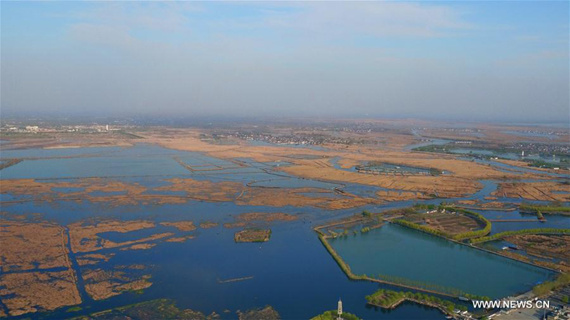 Aerial photo taken on March 31, 2017 shows Baiyangdian, north China's largest freshwater wetland, in Anxin County, north China's Hebei Province. (Xinhua/Wang Xiao) Aerial photo taken on March 31, 2017 shows Baiyangdian, north China's largest freshwater wetland, in Anxin County, north China's Hebei Province. (Xinhua/Wang Xiao)