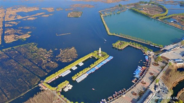 Aerial photo taken on March 31, 2017 shows Baiyangdian, north China's largest freshwater wetland, in Anxin County, north China's Hebei Province. China announced Saturday it would establish the Xiongan New Area in Hebei Province, as part of measures to advance the coordinated development of the Beijing-Tianjin-Hebei (BTH) region. The New Area, about 100 km southwest of downtown Beijing, will span three counties that sit at the center of the triangular area formed by Beijing, Tianjin and Hebei's provincial capital Shijiazhuang. (Xinhua/Yang Shiyao) Aerial photo taken on March 31, 2017 shows Baiyangdian, north China's largest freshwater wetland, in Anxin County, north China's Hebei Province. China announced Saturday it would establish the Xiongan New Area in Hebei Province, as part of measures to advance the coordinated development of the Beijing-Tianjin-Hebei (BTH) region. The New Area, about 100 km southwest of downtown Beijing, will span three counties that sit at the center of the triangular area formed by Beijing, Tianjin and Hebei's provincial capital Shijiazhuang. (Xinhua/Yang Shiyao)