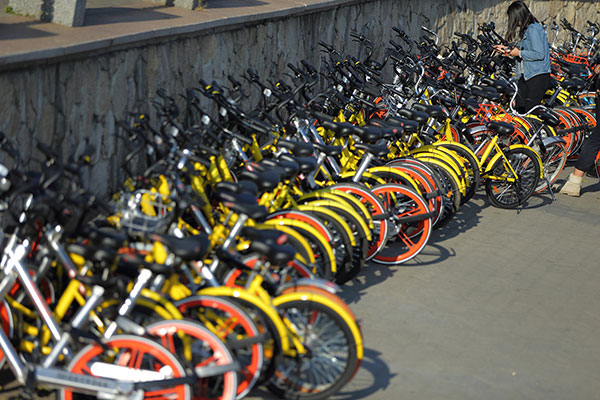 Bicycles of Mobike and Ofo, two major bike-sharing service providers in China, are parked outside a park in Shenzhen, Guangdong province. (Lai Li/For China Daily) Bicycles of Mobike and Ofo, two major bike-sharing service providers in China, are parked outside a park in Shenzhen, Guangdong province. (Lai Li/For China Daily)