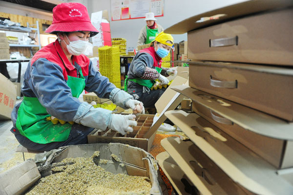 Workers pack fresh eggs for online sales in Fuyang, Anhui province. (Photo by Wang Biao/For China Daily) Workers pack fresh eggs for online sales in Fuyang, Anhui province. (Photo by Wang Biao/For China Daily)