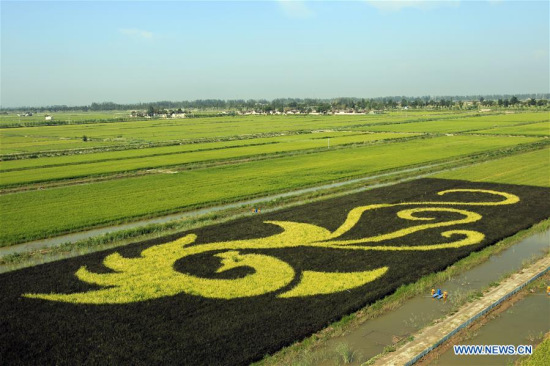 A pattern is seen in a rice field in Sishilidian Village of Changxin Town, Helan County of northwest China's Ningxia Hui Autonomous Region Aug. 16, 2017. (Xinhua/Sui Xiankai) A pattern is seen in a rice field in Sishilidian Village of Changxin Town, Helan County of northwest China's Ningxia Hui Autonomous Region Aug. 16, 2017. (Xinhua/Sui Xiankai)