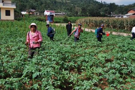 Farmers spray pesticides in a field. The Chinese government has set new guidelines on the maximum safe residue of 56 types of pesticides used for agricultural produce. (File photo) Farmers spray pesticides in a field. The Chinese government has set new guidelines on the maximum safe residue of 56 types of pesticides used for agricultural produce. (File photo)