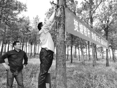 Countryside cadres hang a slogan banner onto trees beside a road in Henan province. (Photo/www.dahe.cn) Countryside cadres hang a slogan banner onto trees beside a road in Henan province. (Photo/www.dahe.cn)