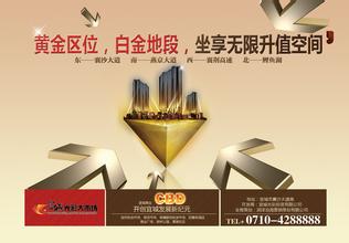 A real estate advertisement shows information on asset appreciation. (Photo/poster) A real estate advertisement shows information on asset appreciation. (Photo/poster)