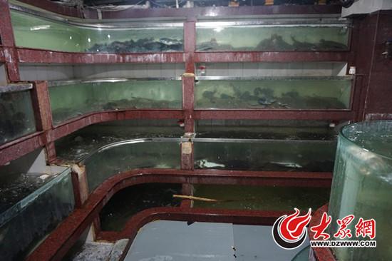 Turbot fish contaminated with banned drug seized at a seafood market in Jinan, Shandong provice. (Photo provided by local police) Turbot fish contaminated with banned drug seized at a seafood market in Jinan, Shandong provice. (Photo provided by local police)
