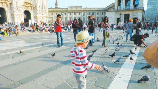 A kid feeds pigeons at a square in Italy. (Photo: people.com.cn) A kid feeds pigeons at a square in Italy. (Photo: people.com.cn)