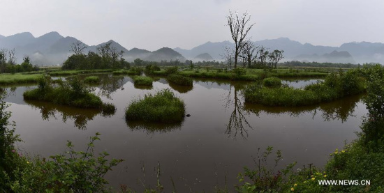 Photo taken on July 13, 2015 shows a view of the Dajiuhu National Wetland Park in Shennongjia in central China's Hubei Province. The Dajiuhu wetlands, made up of nine lakes, is the largest wetlands in area with highest altitude in central China. (Photo: Xinhua/Du Huaju) Photo taken on July 13, 2015 shows a view of the Dajiuhu National Wetland Park in Shennongjia in central China's Hubei Province. The Dajiuhu wetlands, made up of nine lakes, is the largest wetlands in area with highest altitude in central China. (Photo: Xinhua/Du Huaju)