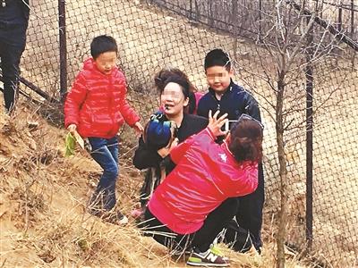 Tourists harass a peacock at Badaling Safari World, Beijing. (Photo/Beijing Youth Daily) Tourists harass a peacock at Badaling Safari World, Beijing. (Photo/Beijing Youth Daily)