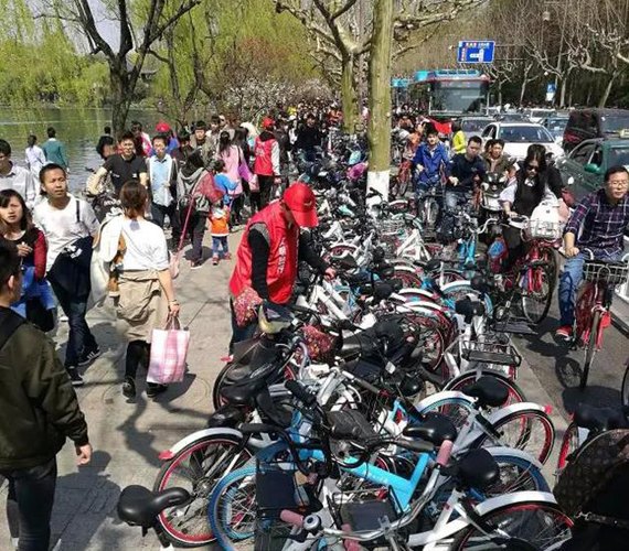 Bikes are disorderly parked at a scenic spot in East China's Hangzhou City. (Photo/Qianjiang Evening News) Bikes are disorderly parked at a scenic spot in East China's Hangzhou City. (Photo/Qianjiang Evening News)