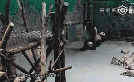 (Photo/Video screenshot) (Photo/Video screenshot)