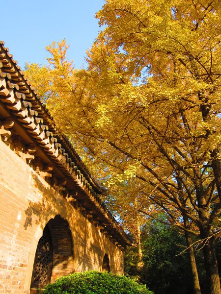 Ming Xiaoliang Tomb is about 800 years old.
