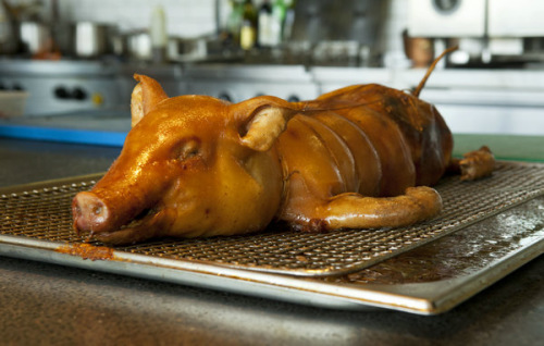 The suckling pig entree (Photo provided to China Daily) The suckling pig entree (Photo provided to China Daily)