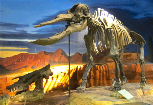 Turpan Museum houses mummies and prehistoric animal skeletons as well as the country's most celebrated archeological displays. (Photo by Erik Nilsson/China Daily) Turpan Museum houses mummies and prehistoric animal skeletons as well as the country's most celebrated archeological displays. (Photo by Erik Nilsson/China Daily)
