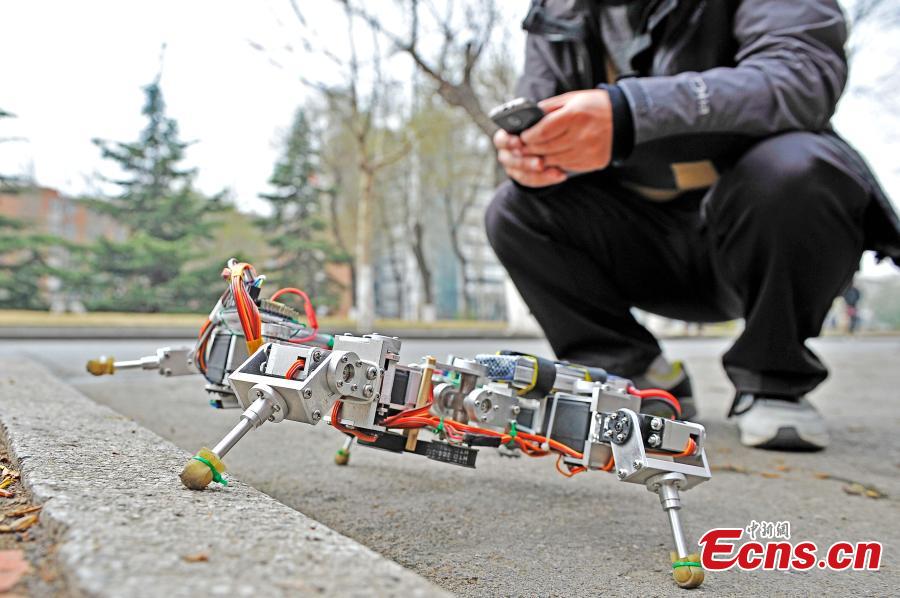 Student develops self-folding, crawling robot (1/3)