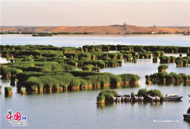Sand Lake, a bird-watching hotspot(1/5)