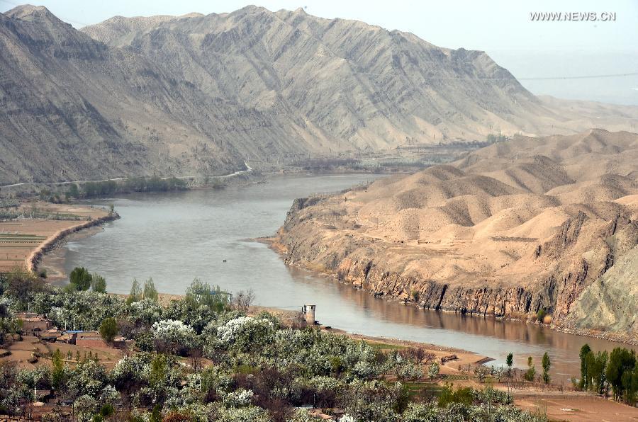 NW China's ancient village surrounded by pear blossom(1/6)