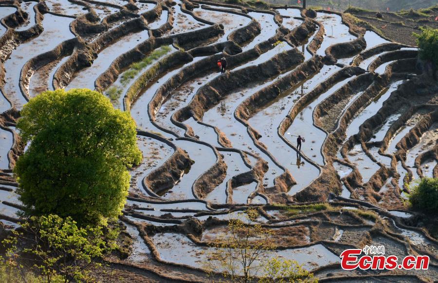 China's terraced fields apply for FAO initiative(1/8)