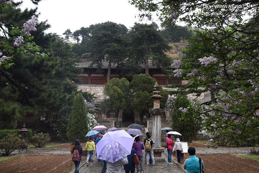 Ancient architecture lovers visit temples in Wutai County(1/5)