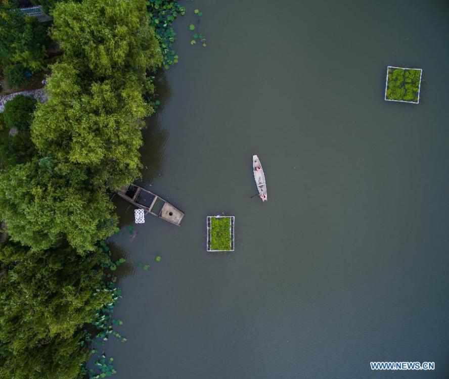 Aerial view of Xingfu Village in Zhejiang(1/5)