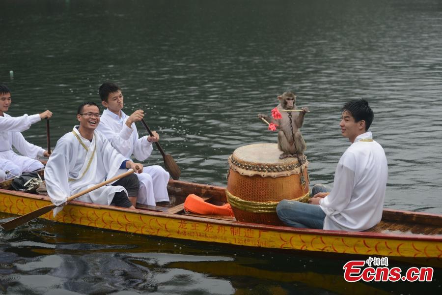 Park holds dragon boat race for animal protection(1/8)