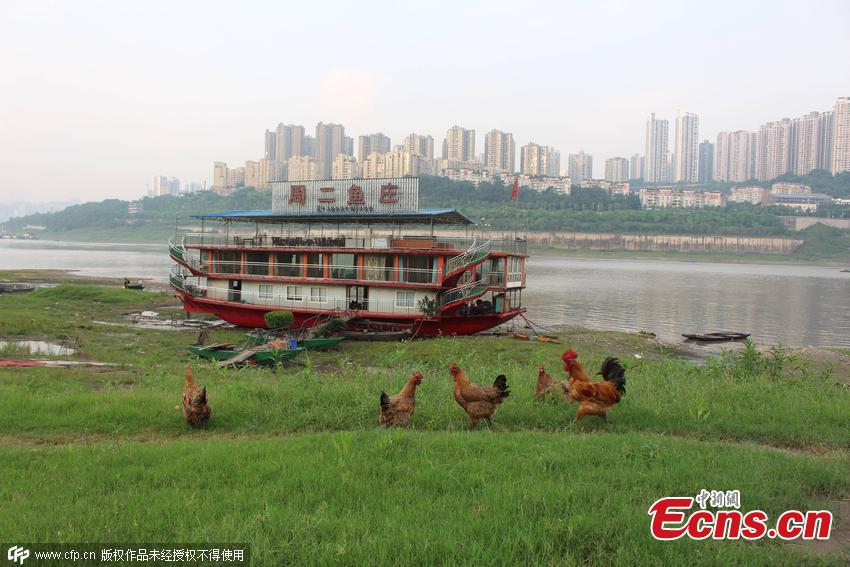Falling water levels in Yangtze River may pose risks (1/3)