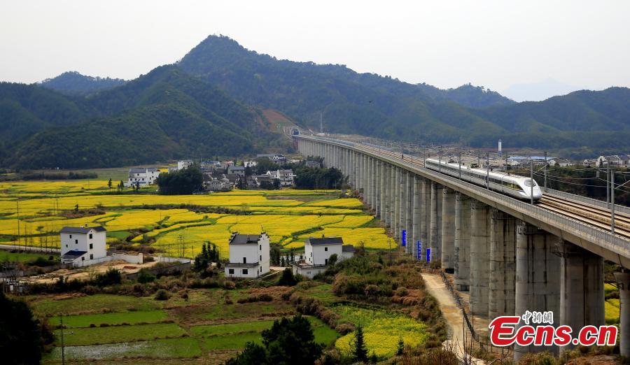 Most beautiful high-speed railway line in service(1/5)