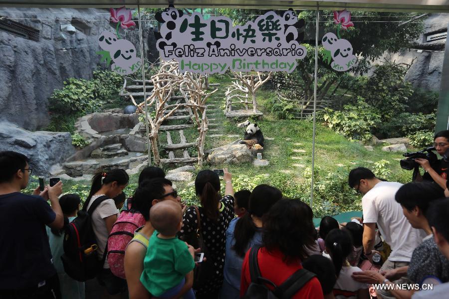 Panda Xinxin celebrates birthday at Macao's park(1/5)