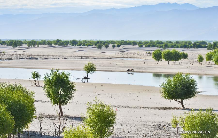 Gov't carries out conservation program in Tibet(1/4)